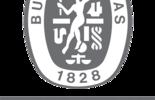 BVT Logo