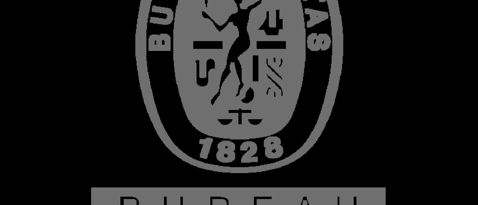 BV Logo