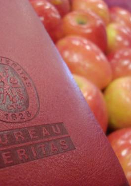 Food and Cosmetics Services