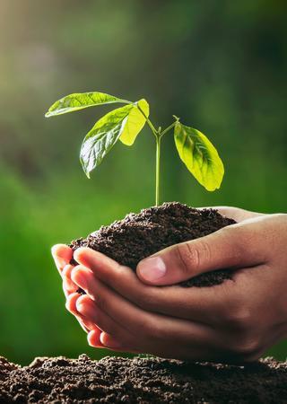 What’s new in ISO 14001, ISO 9001 and ISO 45001 ?