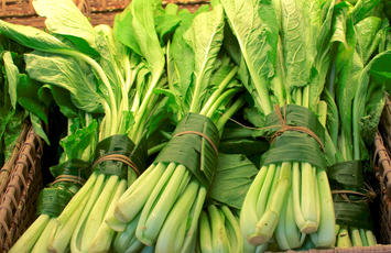 4 WAYS TO MAKE FOOD PROCESSING MORE SUSTAINABLE