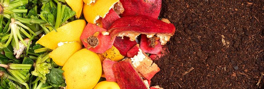 Food-Waste-Management-System